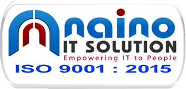 NAINO IT SOLUTION PVT.LTD
